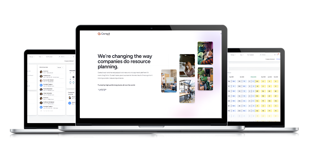 Staff utilization software for consultants